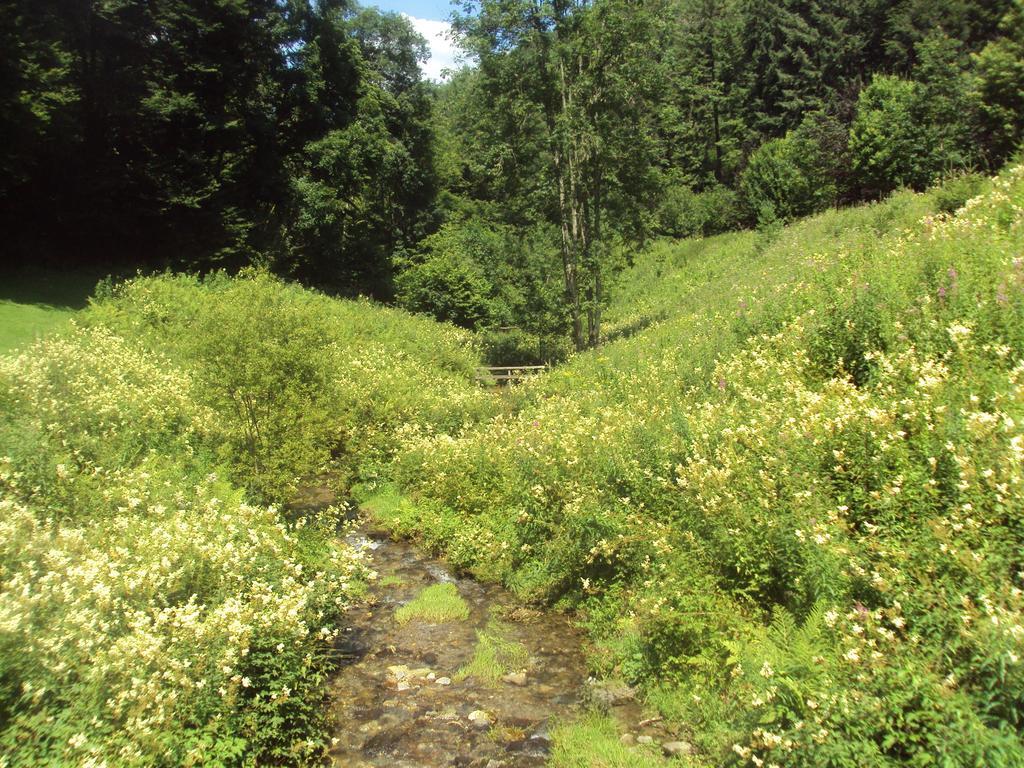 Le Vieux Moulin Bohan Zewnętrze zdjęcie